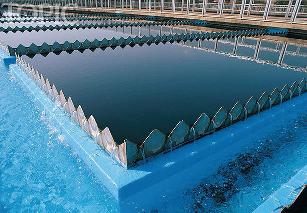 1656480123545232.jpg 1656480123545232.jpg