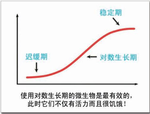 1656493413478302.jpg 1532490032137374.jpg