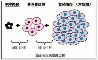 1656493445680061.jpg 1532490059383886.jpg