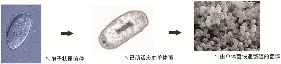 1656493517149993.jpg 1532490099688981.jpg